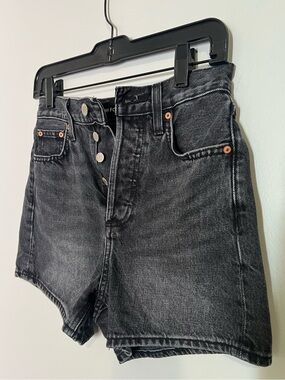 Aritzia Denim Forum Joni Shorts Size 23